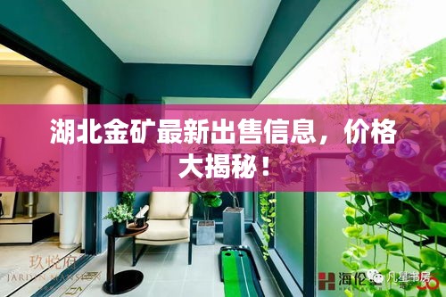湖北金矿最新出售信息，价格大揭秘！