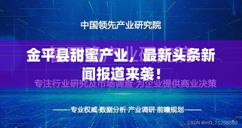 金平县甜蜜产业，最新头条新闻报道来袭！