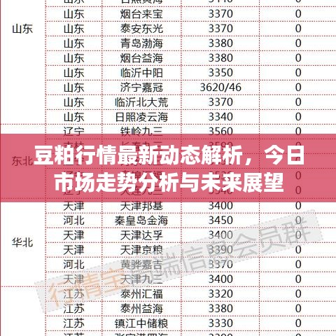 豆粕行情最新动态解析，今日市场走势分析与未来展望