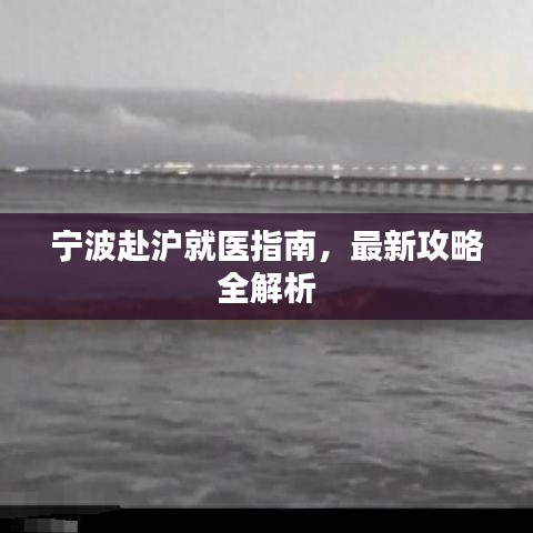 宁波赴沪就医指南，最新攻略全解析