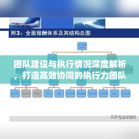 团队建设与执行情况深度解析，打造高效协同的执行力团队