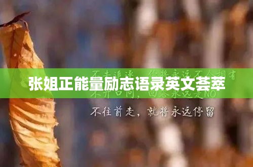 张姐正能量励志语录英文荟萃