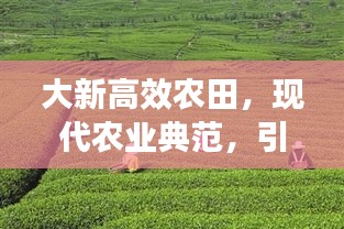 大新高效农田，现代农业典范，引领农业新时代！
