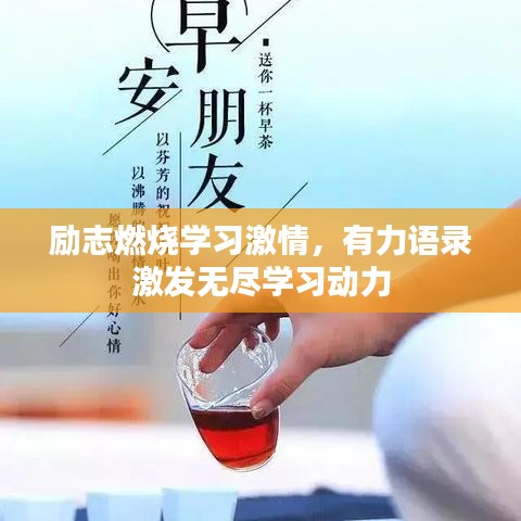 产品中心 第93页