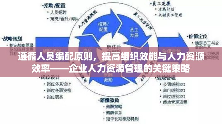 遵循人员编配原则，提高组织效能与人力资源效率——企业人力资源管理的关键策略