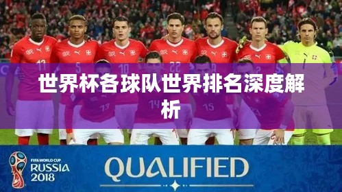 世界杯各球队世界排名深度解析
