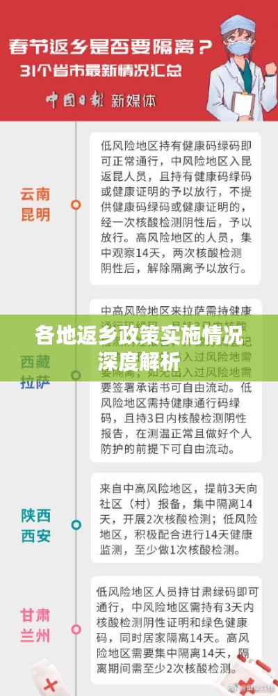 各地返乡政策实施情况深度解析