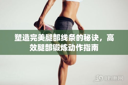 塑造完美腿部线条的秘诀，高效腿部锻炼动作指南