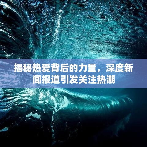揭秘热爱背后的力量，深度新闻报道引发关注热潮