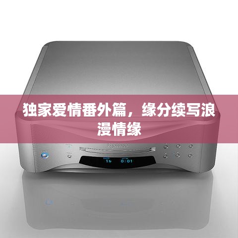 独家爱情番外篇，缘分续写浪漫情缘