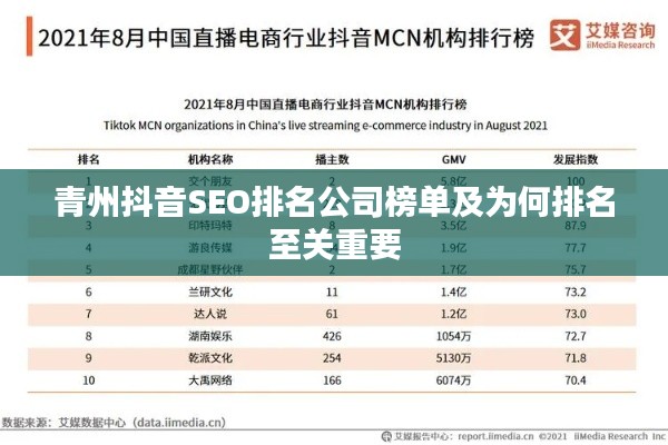 青州抖音SEO排名公司榜单及为何排名至关重要