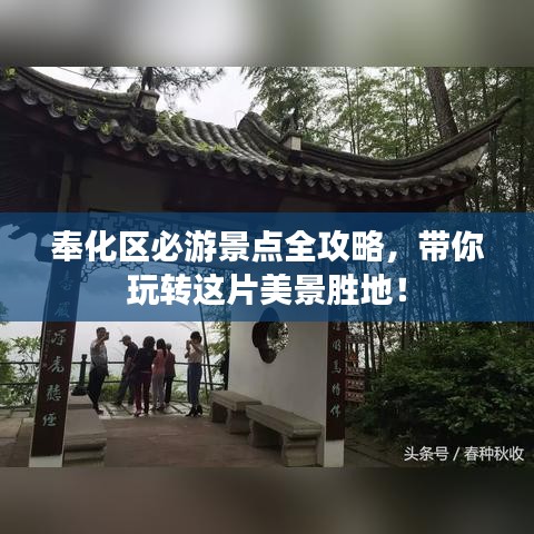 鸟为食亡