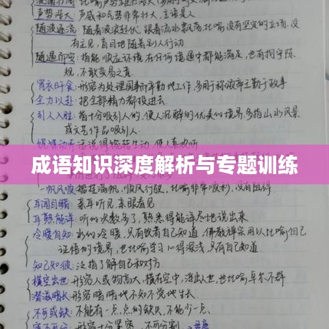 成语知识深度解析与专题训练