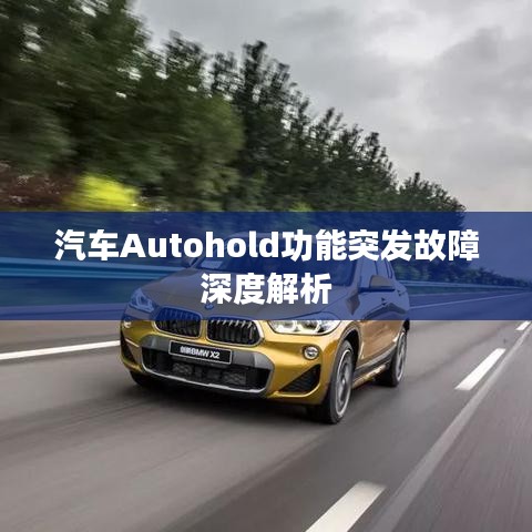 汽车Autohold功能突发故障深度解析