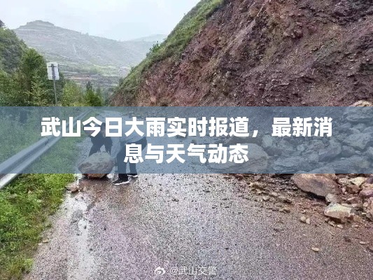 武山今日大雨实时报道，最新消息与天气动态