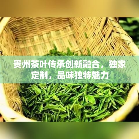 贵州茶叶传承创新融合，独家定制，品味独特魅力
