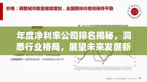 年度净利率公司排名揭秘，洞悉行业格局，展望未来发展新趋势