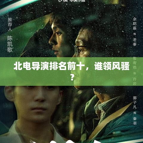 北电导演排名前十，谁领风骚？