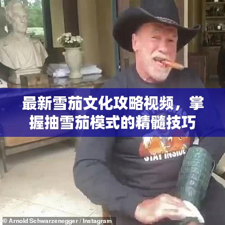 最新雪茄文化攻略视频，掌握抽雪茄模式的精髓技巧