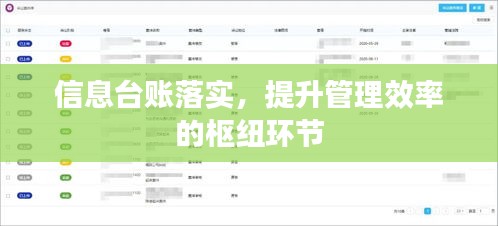 信息台账落实，提升管理效率的枢纽环节