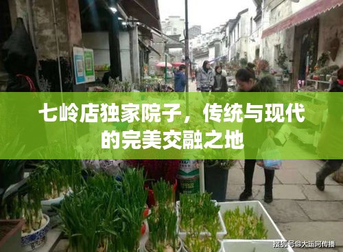 七岭店独家院子，传统与现代的完美交融之地