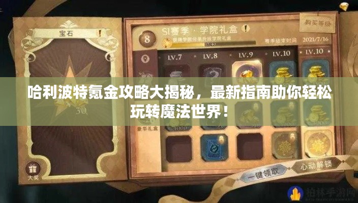 哈利波特氪金攻略大揭秘，最新指南助你轻松玩转魔法世界！