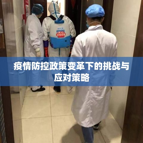 疫情防控政策变革下的挑战与应对策略