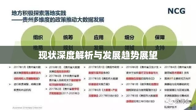 现状深度解析与发展趋势展望