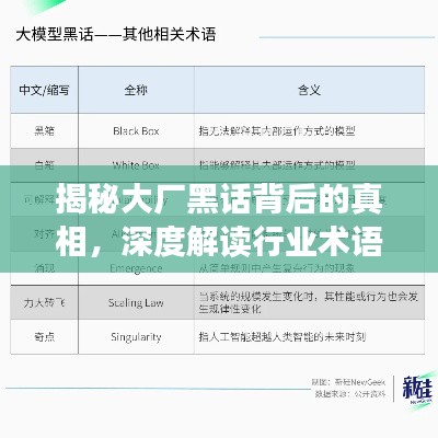 揭秘大厂黑话背后的真相，深度解读行业术语的视频报道