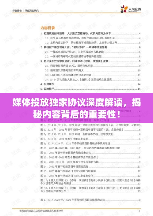 媒体投放独家协议深度解读，揭秘内容背后的重要性！