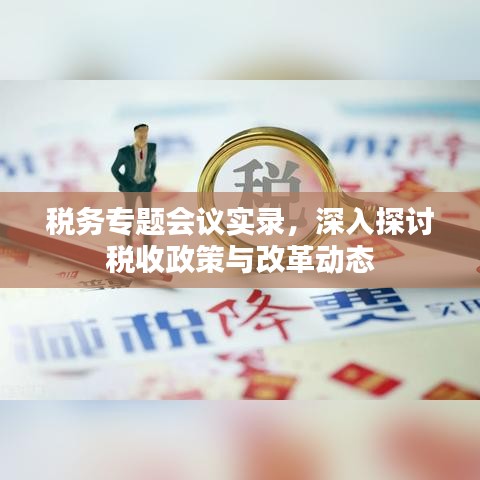 税务专题会议实录，深入探讨税收政策与改革动态