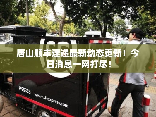 唐山顺丰速递最新动态更新！今日消息一网打尽！
