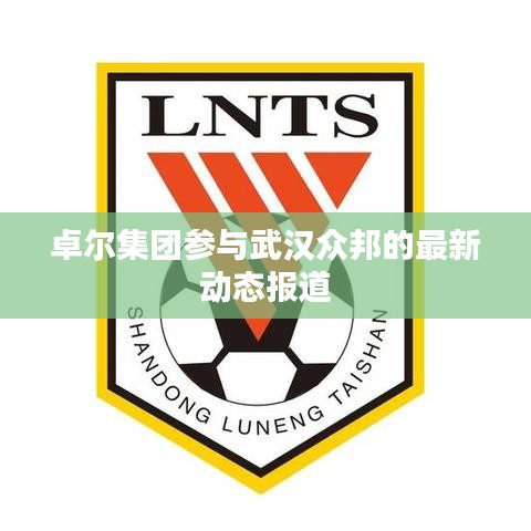 卓尔集团参与武汉众邦的最新动态报道