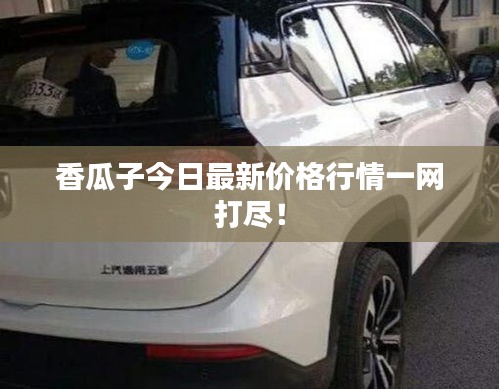 香瓜子今日最新价格行情一网打尽！