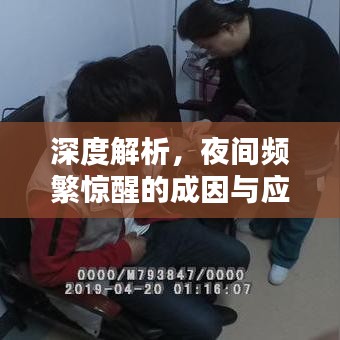 鸷鸟不群
