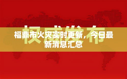 福鼎市火灾实时更新，今日最新消息汇总