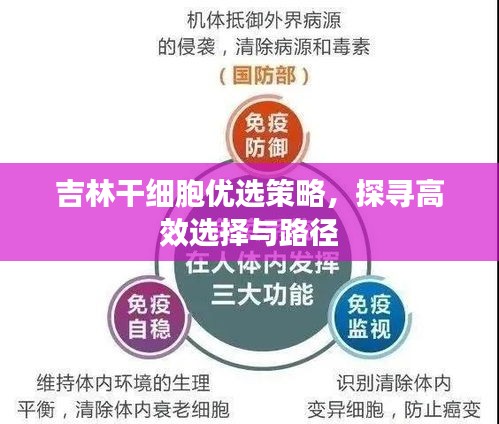 吉林干细胞优选策略，探寻高效选择与路径