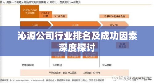 沁源公司行业排名及成功因素深度探讨