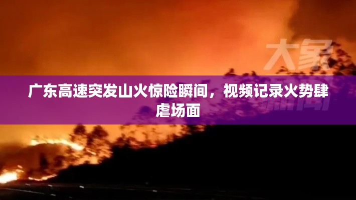 广东高速突发山火惊险瞬间，视频记录火势肆虐场面