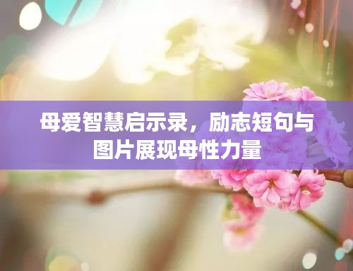 母爱智慧启示录，励志短句与图片展现母性力量