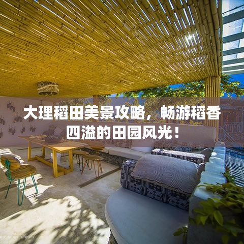 大理稻田美景攻略，畅游稻香四溢的田园风光！