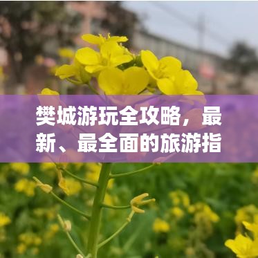 樊城游玩全攻略，最新、最全面的旅游指南！