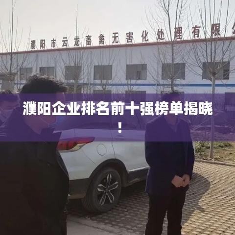 濮阳企业排名前十强榜单揭晓！
