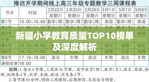 新疆小学教育质量TOP10榜单及深度解析