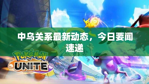 中乌关系最新动态，今日要闻速递