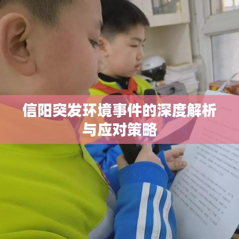 信阳突发环境事件的深度解析与应对策略