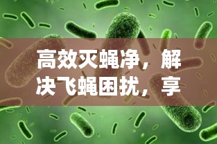 高效灭蝇净，解决飞蝇困扰，享受无忧生活
