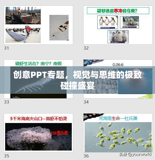 创意PPT专题，视觉与思维的极致碰撞盛宴