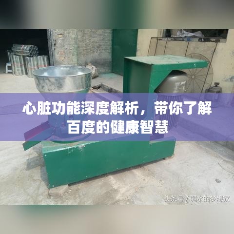 心脏功能深度解析，带你了解百度的健康智慧