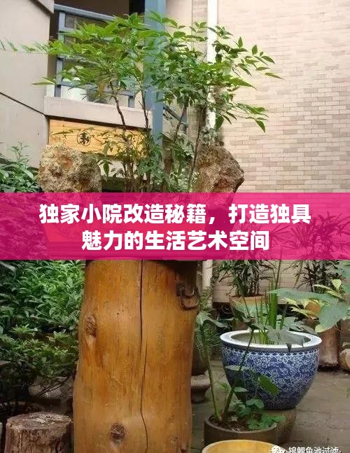 独家小院改造秘籍，打造独具魅力的生活艺术空间